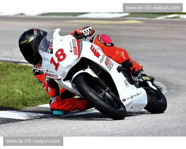 赛车集锦:速度的诗篇