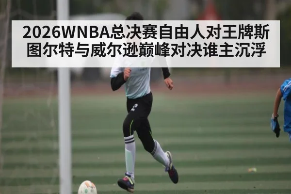 2026WNBA总决赛自由人对王牌斯图尔特与威尔逊巅峰对决谁主沉浮